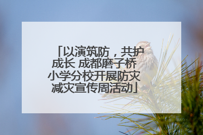 以演筑防，共护成长 成都磨子桥小学分校开展防灾减灾宣传周活动
