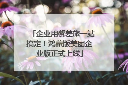 企业用餐差旅一站搞定！鸿蒙版美团企业版正式上线