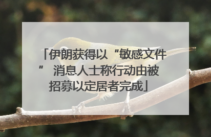 伊朗获得以“敏感文件” 消息人士称行动由被招募以定居者完成