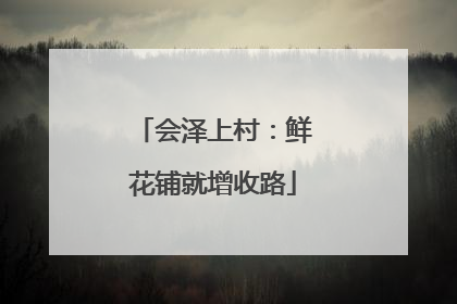 会泽上村：鲜花铺就增收路