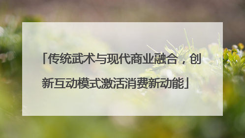 传统武术与现代商业融合，创新互动模式激活消费新动能