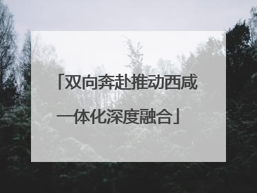 双向奔赴推动西咸一体化深度融合