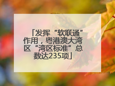 发挥“软联通”作用，粤港澳大湾区“湾区标准”总数达235项