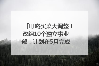 叮咚买菜大调整！改组10个独立事业部，计划在5月完成App端全面改版