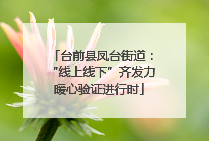 台前县凤台街道：“线上线下”齐发力 暖心验证进行时
