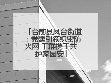 台前县凤台街道：党建引领织密防火网 干群携手共护家园安