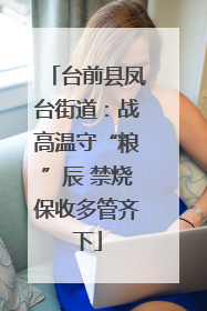 台前县凤台街道：战高温守“粮”辰 禁烧保收多管齐下