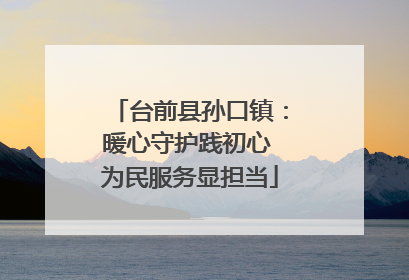台前县孙口镇：暖心守护践初心 为民服务显担当