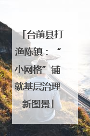 台前县打渔陈镇：“小网格”铺就基层治理新图景