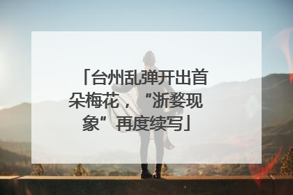 台州乱弹开出首朵梅花，“浙婺现象”再度续写