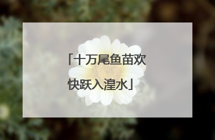 十万尾鱼苗欢快跃入湟水