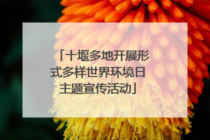 十堰多地开展形式多样世界环境日主题宣传活动