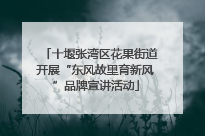 十堰张湾区花果街道开展“东风故里育新风”品牌宣讲活动