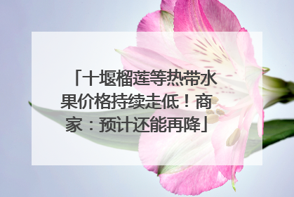 十堰榴莲等热带水果价格持续走低！商家：预计还能再降
