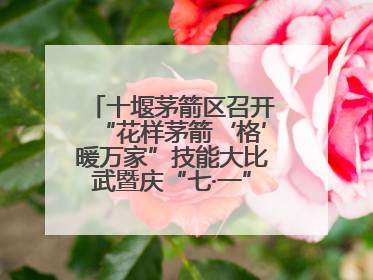 十堰茅箭区召开“花样茅箭‘格’暖万家”技能大比武暨庆“七·一”汇演活动
