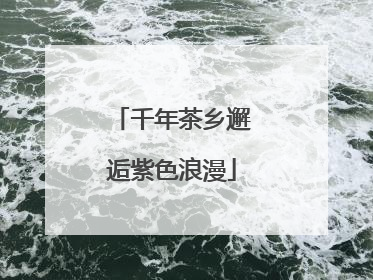 千年茶乡邂逅紫色浪漫
