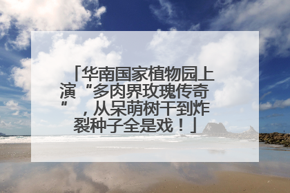 华南国家植物园上演“多肉界玫瑰传奇”，从呆萌树干到炸裂种子全是戏！