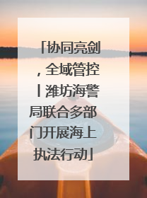 协同亮剑，全域管控丨潍坊海警局联合多部门开展海上执法行动