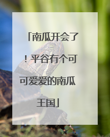 南瓜开会了！平谷有个可可爱爱的南瓜王国