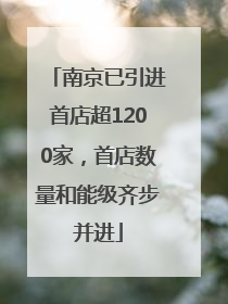 南京已引进首店超1200家，首店数量和能级齐步并进