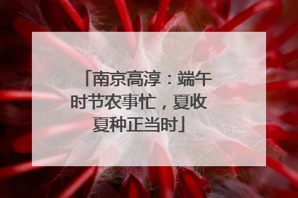 南京高淳：端午时节农事忙，夏收夏种正当时