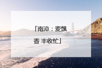 南漳：麦飘香 丰收忙
