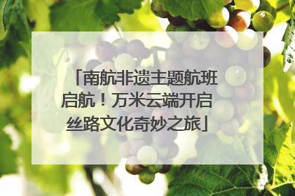 南航非遗主题航班启航！万米云端开启丝路文化奇妙之旅