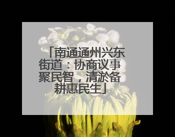 南通通州兴东街道：协商议事聚民智，清淤备耕惠民生