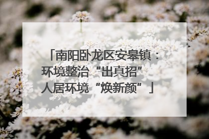 南阳卧龙区安皋镇：环境整治“出真招” 人居环境“焕新颜”