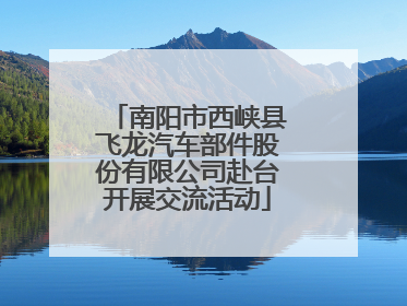 南阳市西峡县飞龙汽车部件股份有限公司赴台开展交流活动