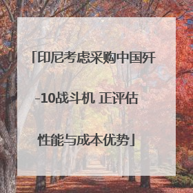 印尼考虑采购中国歼-10战斗机 正评估性能与成本优势