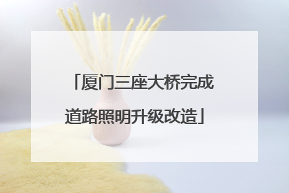 厦门三座大桥完成道路照明升级改造