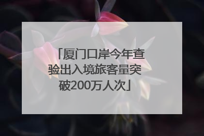厦门口岸今年查验出入境旅客量突破200万人次