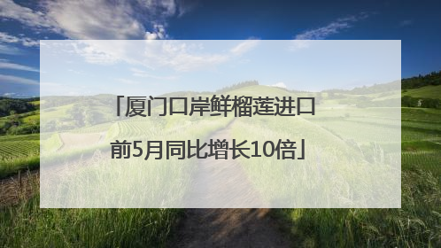 厦门口岸鲜榴莲进口 前5月同比增长10倍