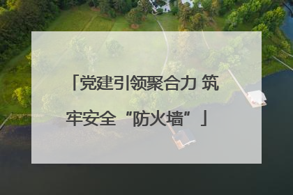 党建引领聚合力 筑牢安全“防火墙”