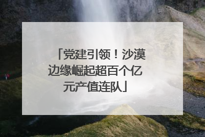 党建引领！沙漠边缘崛起超百个亿元产值连队