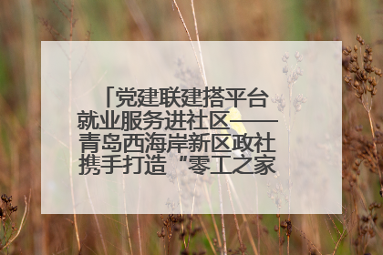 党建联建搭平台 就业服务进社区——青岛西海岸新区政社携手打造“零工之家”就业服务新阵地