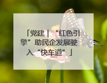 党建｜“红色引擎”助民企发展驶入“快车道”