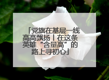 党旗在基层一线高高飘扬丨在这条英雄“含量高”的路上寻初心