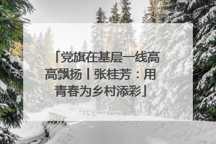党旗在基层一线高高飘扬丨张桂芳：用青春为乡村添彩