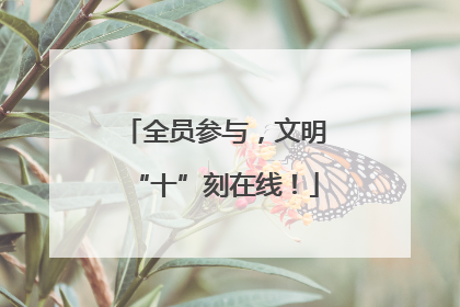 全员参与，文明“十”刻在线！