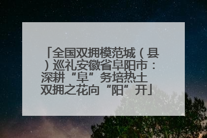 全国双拥模范城（县）巡礼安徽省阜阳市：深耕“阜”务培热土 双拥之花向“阳”开
