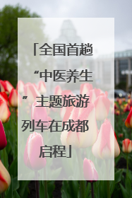 全国首趟“中医养生”主题旅游列车在成都启程