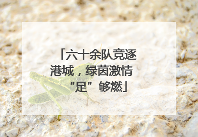 六十余队竞逐港城，绿茵激情“足”够燃
