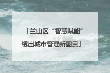 兰山区“智慧赋能”绣出城市管理新图景
