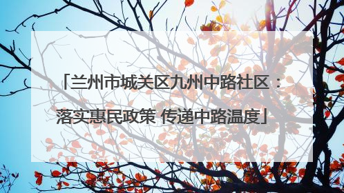兰州市城关区九州中路社区：落实惠民政策 传递中路温度