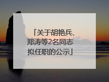 关于胡艳兵、郑涛等2名同志拟任职的公示