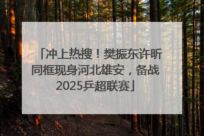 冲上热搜！樊振东许昕同框现身河北雄安，备战2025乒超联赛