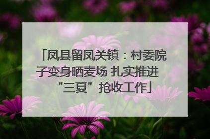 凤县留凤关镇：村委院子变身晒麦场 扎实推进“三夏”抢收工作