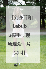 刘亦菲和Labubu握手，现场观众一片尖叫